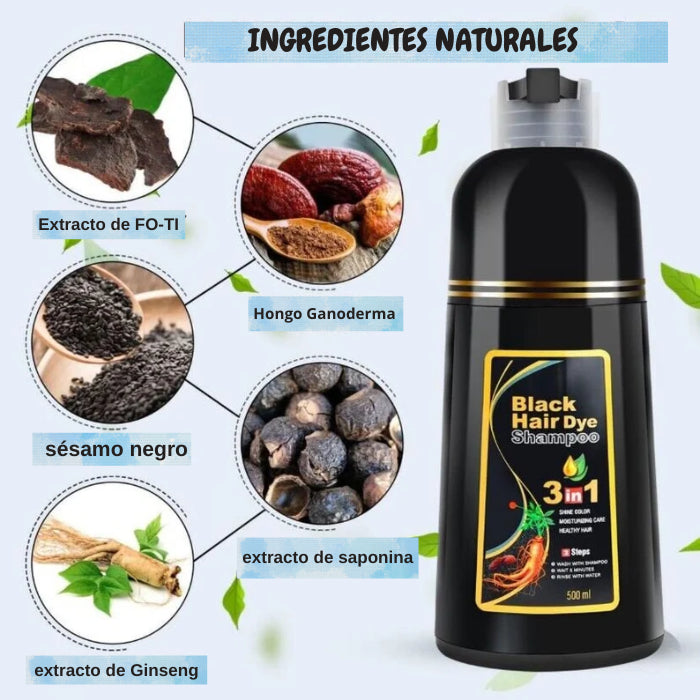 Shampoo Black Hair Dye | Recupera tu tono natural sin tintes: adiós a las canas con un solo lavado