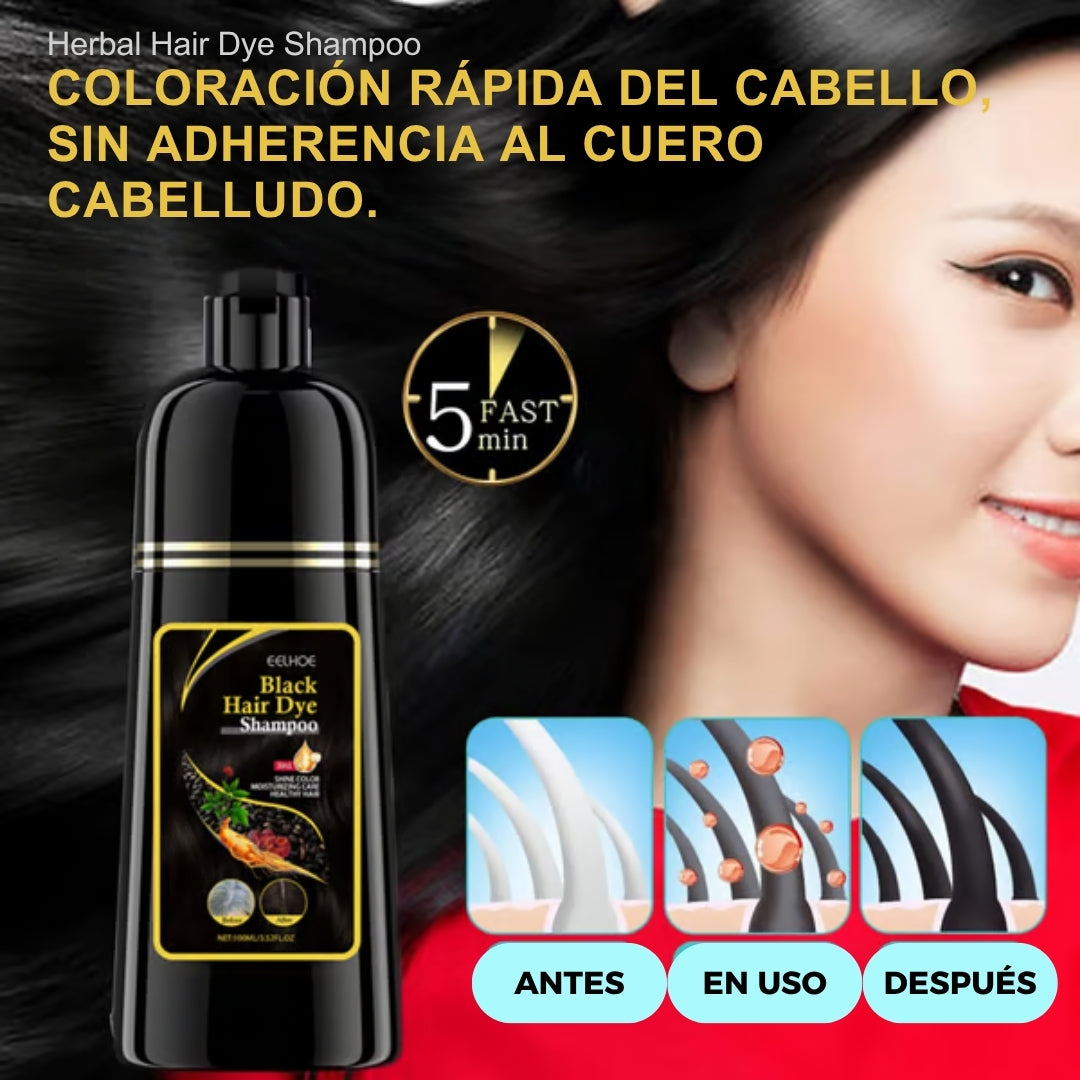 Shampoo Black Hair Dye | Recupera tu tono natural sin tintes: adiós a las canas con un solo lavado